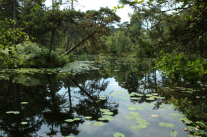 Bystock Lake