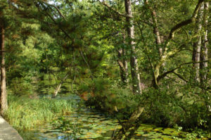 Bystock Nature Reserve