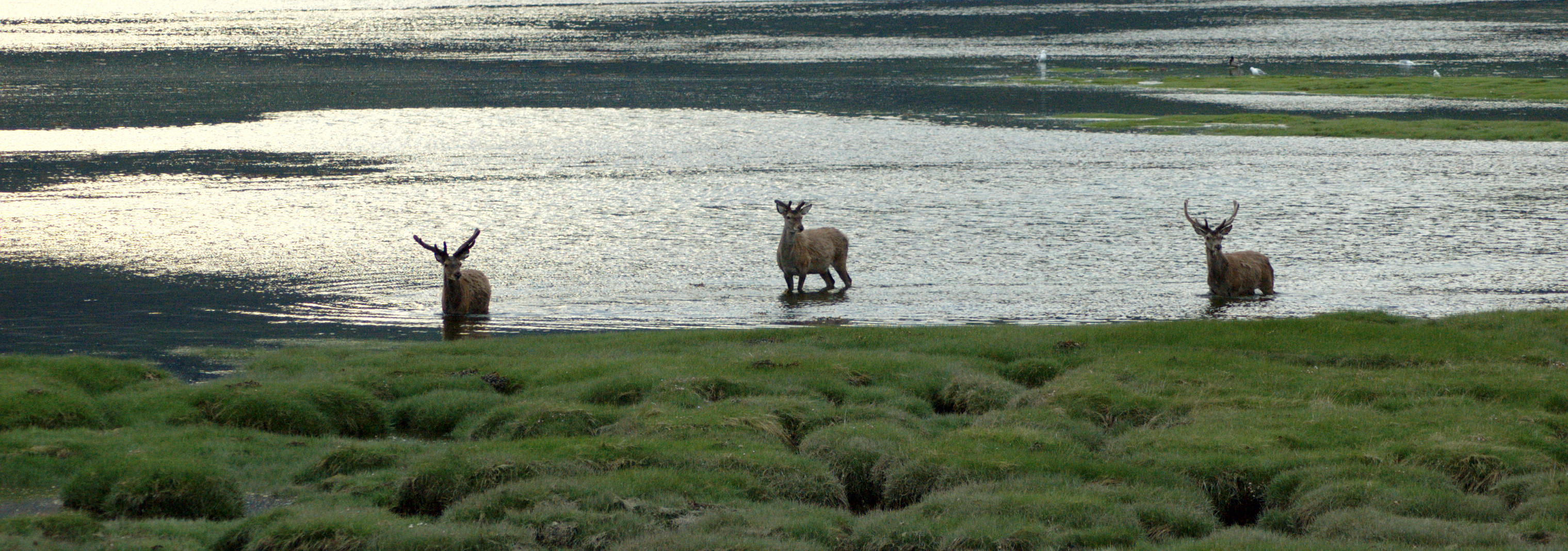 <h2>Loch Levan, Glencoe, Highlands</h2>