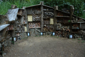 Insect House Lost Gardens Of Heligan